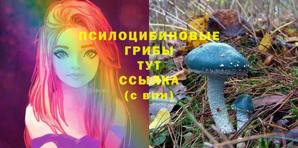 экстази Горнозаводск