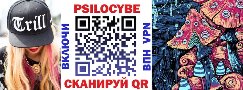 Псилоцибиновые грибы Psilocybe  МЕГА как зайти  Мценск 